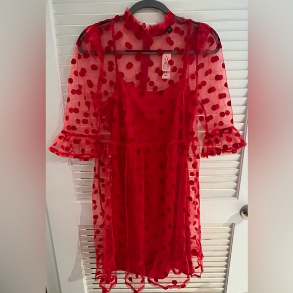 NWT NY&Co Polka Dot Mesh Shift Dress Size XS - Picture 1 of 10